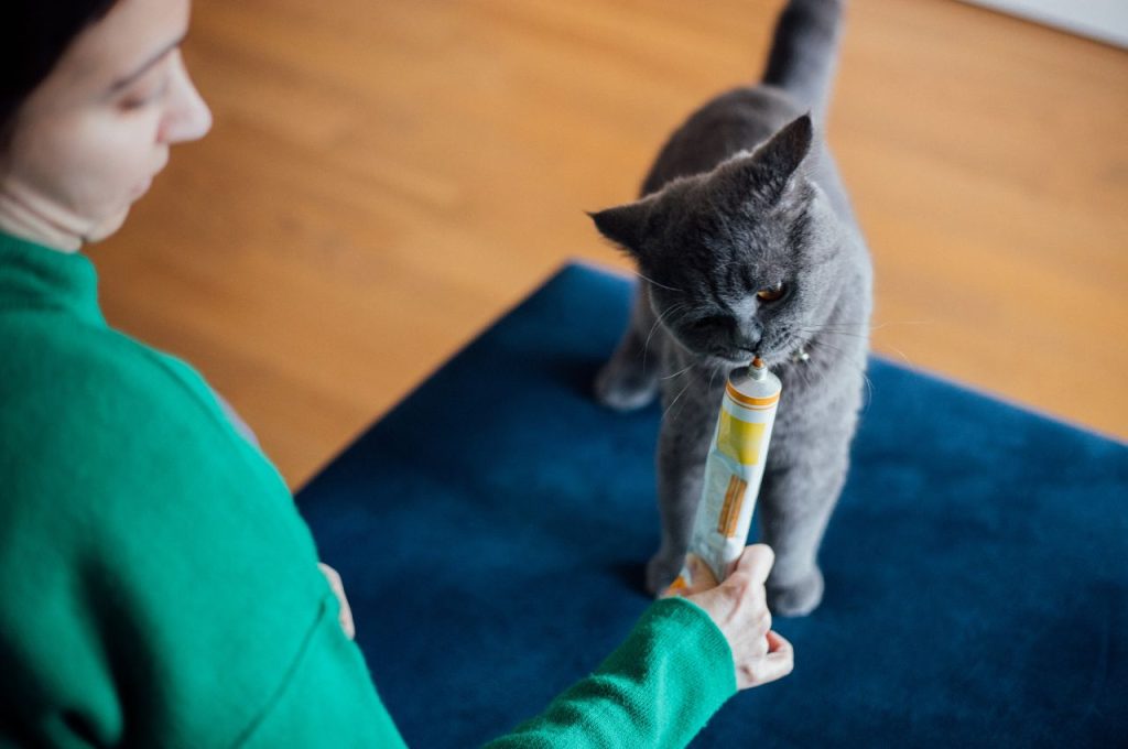 Cat hairball prevention methods