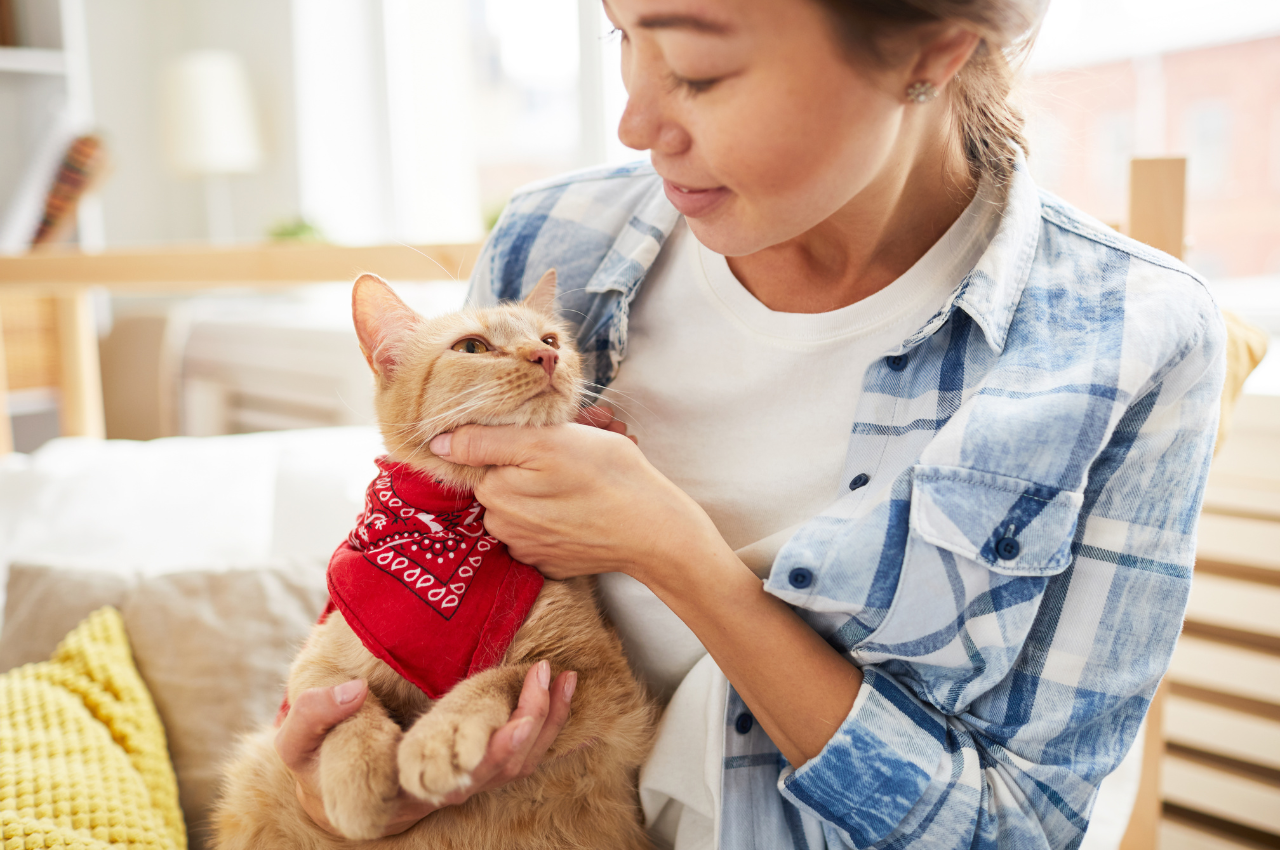 can humans get sick from cats