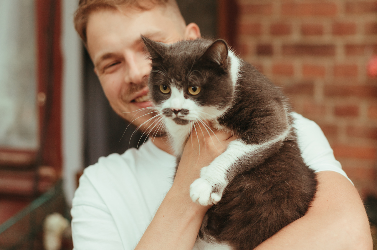 Is it easy to maintain a cat?