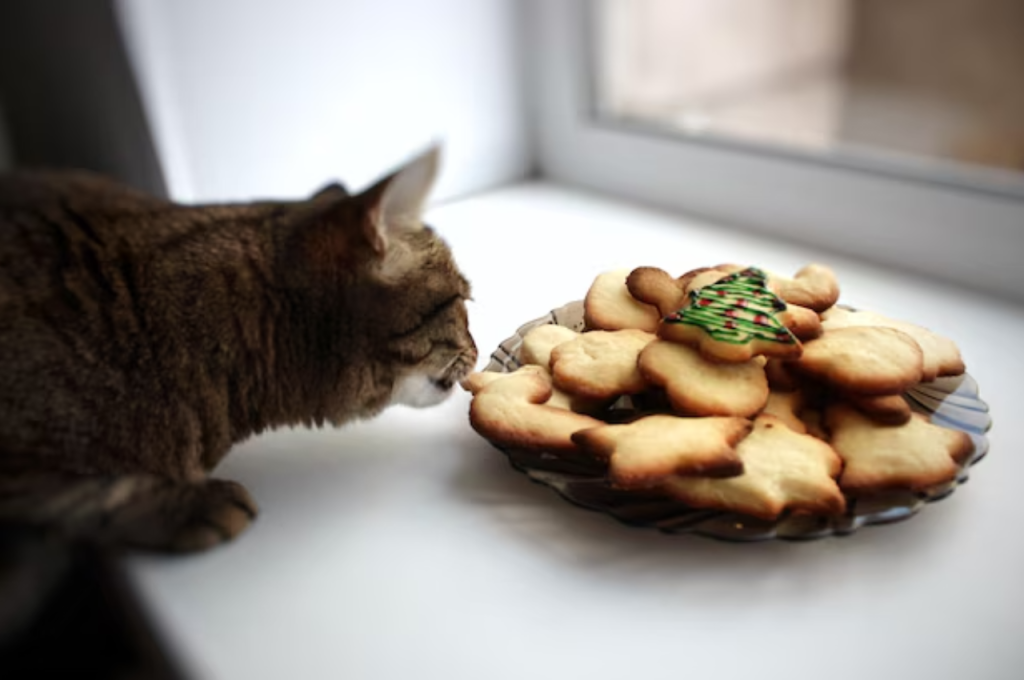 Pet nutrition