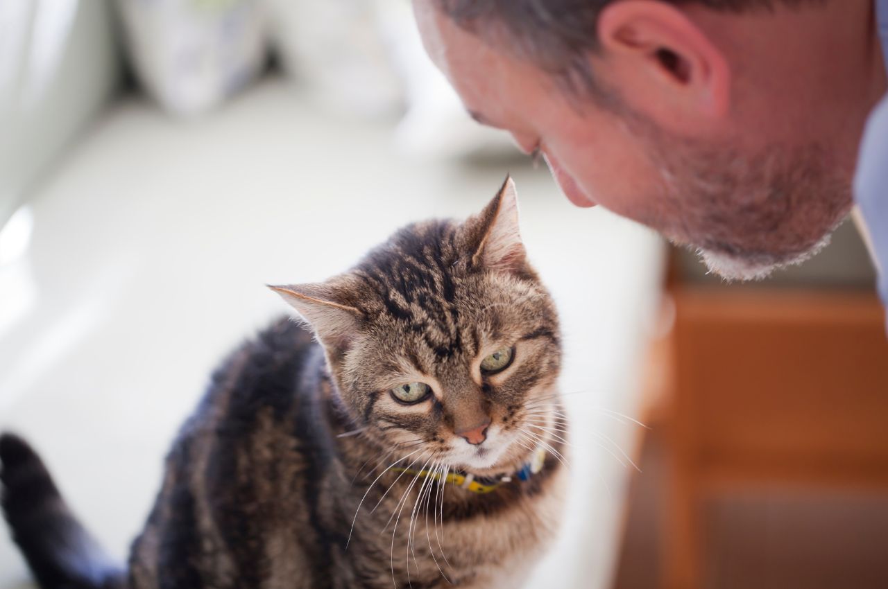 Teaching cats vocal communication