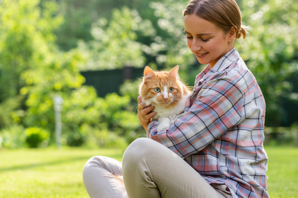Teaching cats to roam outdoors safely