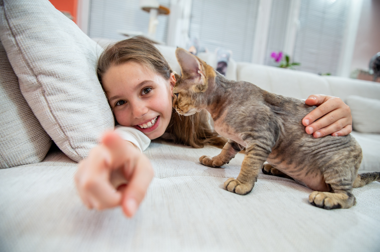 how to train your cat to listen to your commands