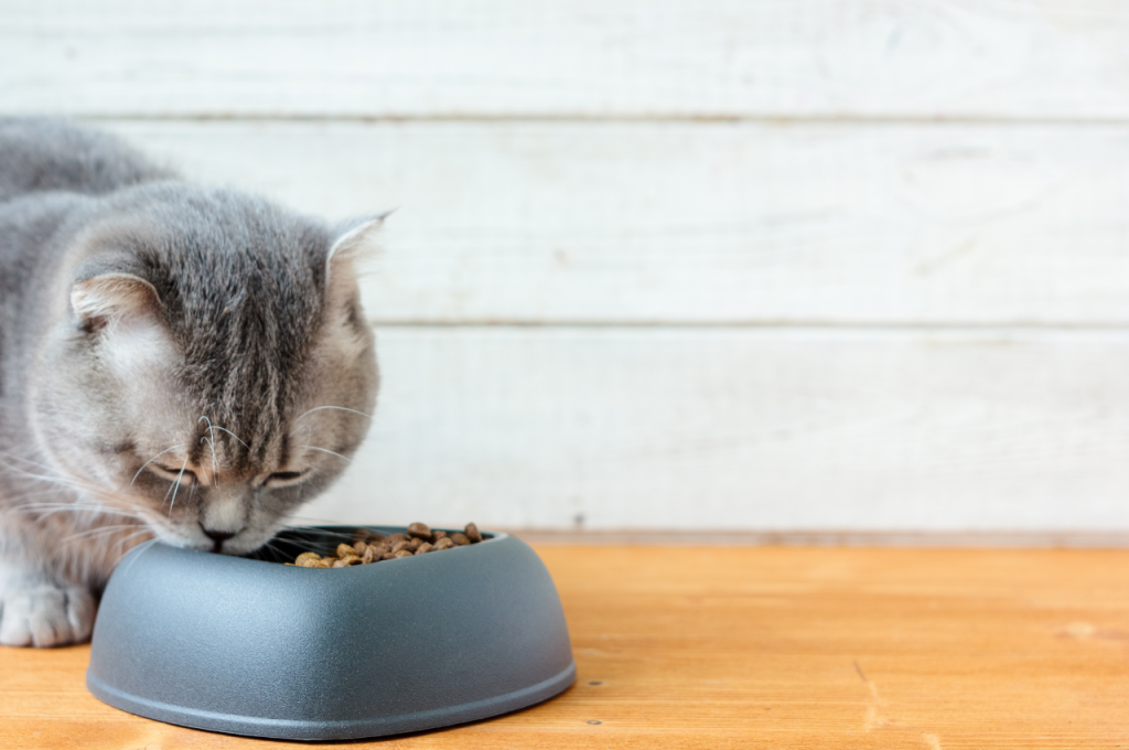 Calorie-controlled cat diet