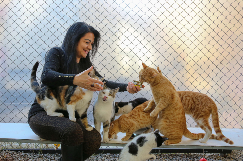 Cat care made simple