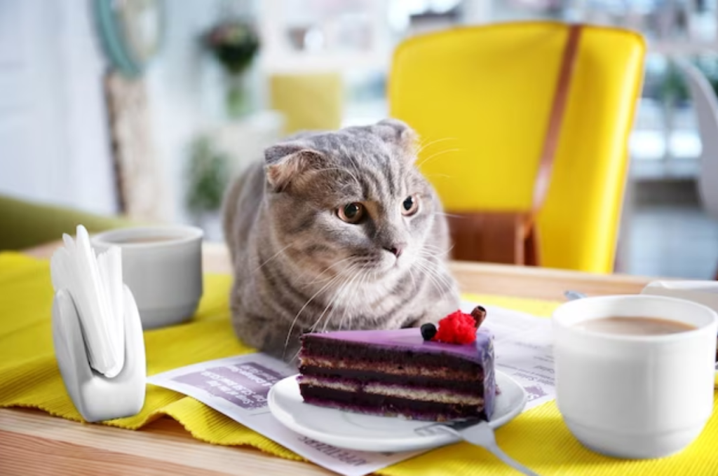 Desserts and cat health