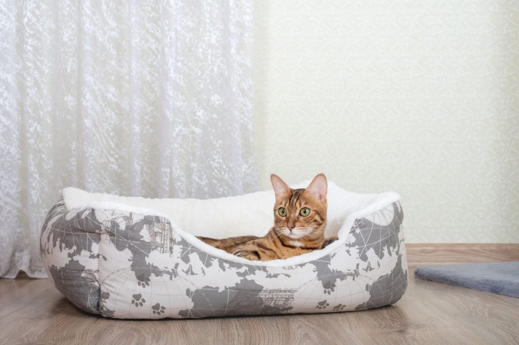 Promoting feline longevity