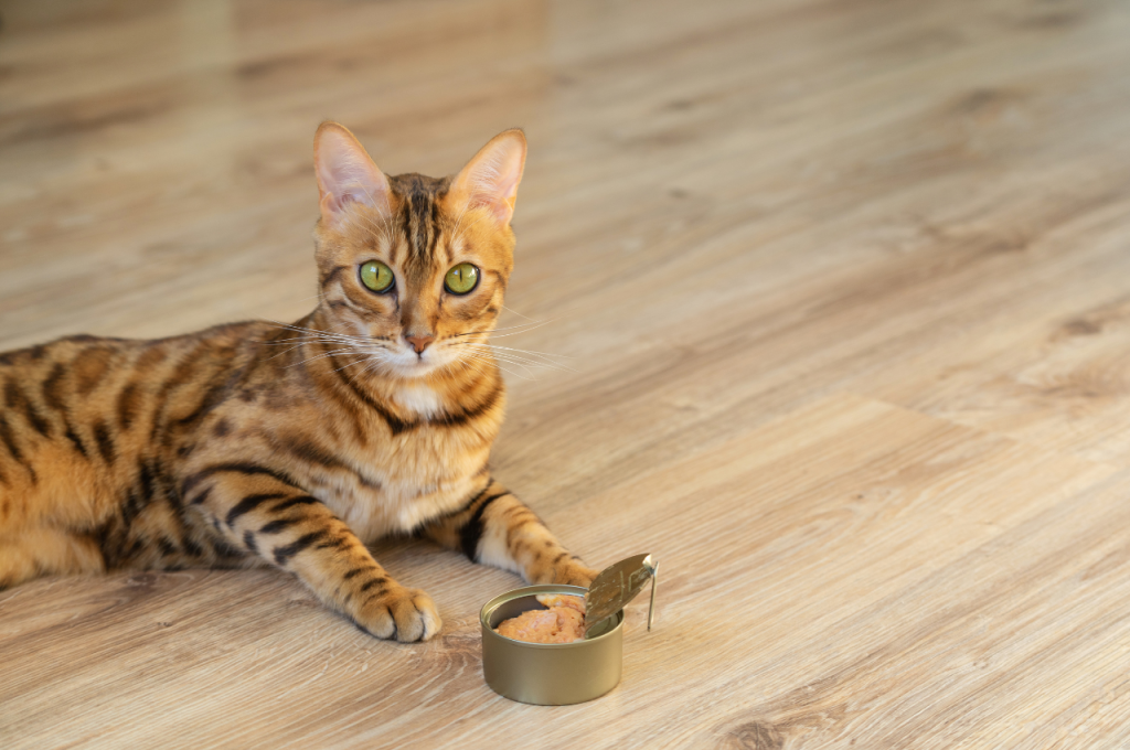 Lean protein cat food