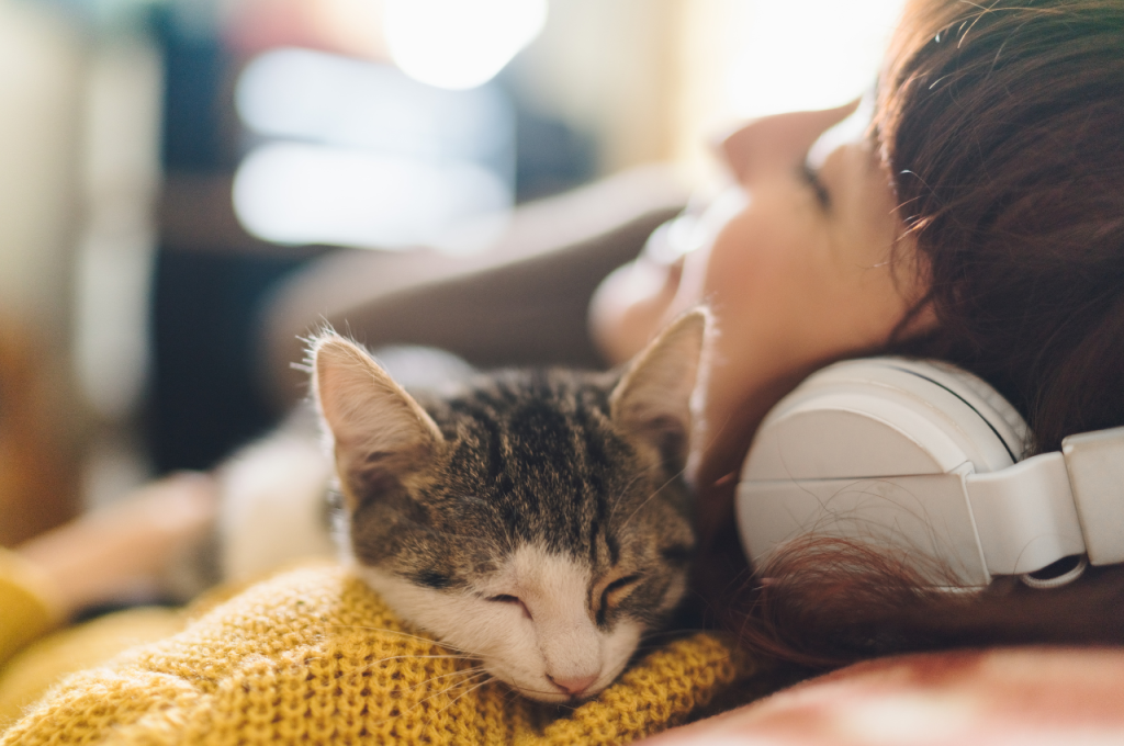 Cats and musical stimuli