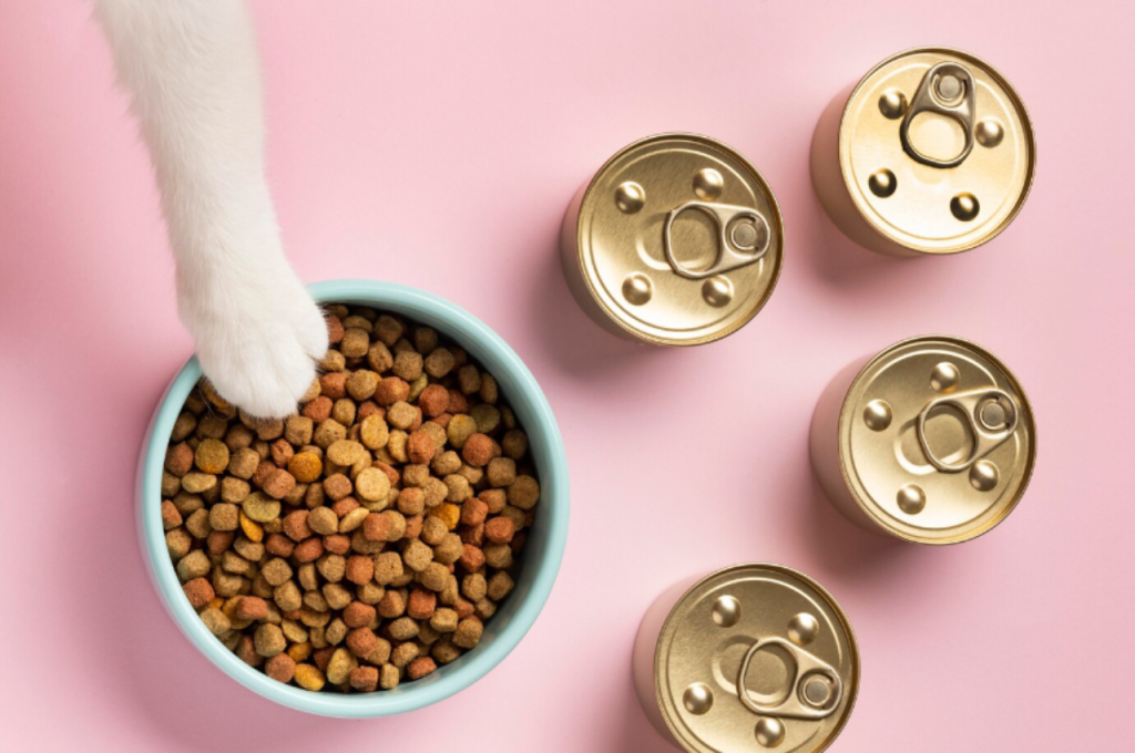 Best cat food options