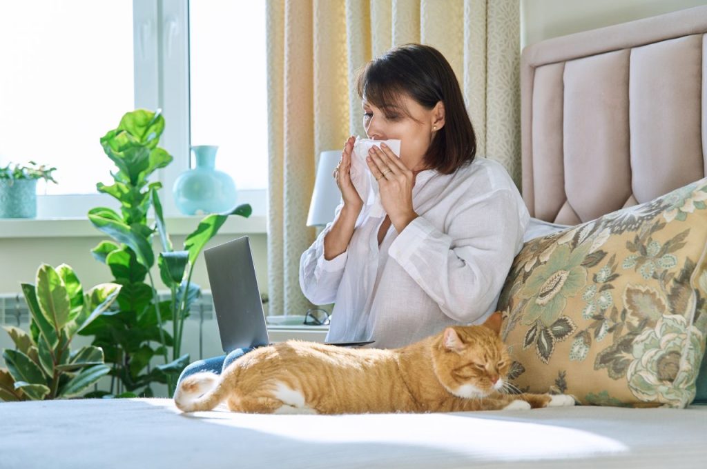 Natural remedies for cat allergies