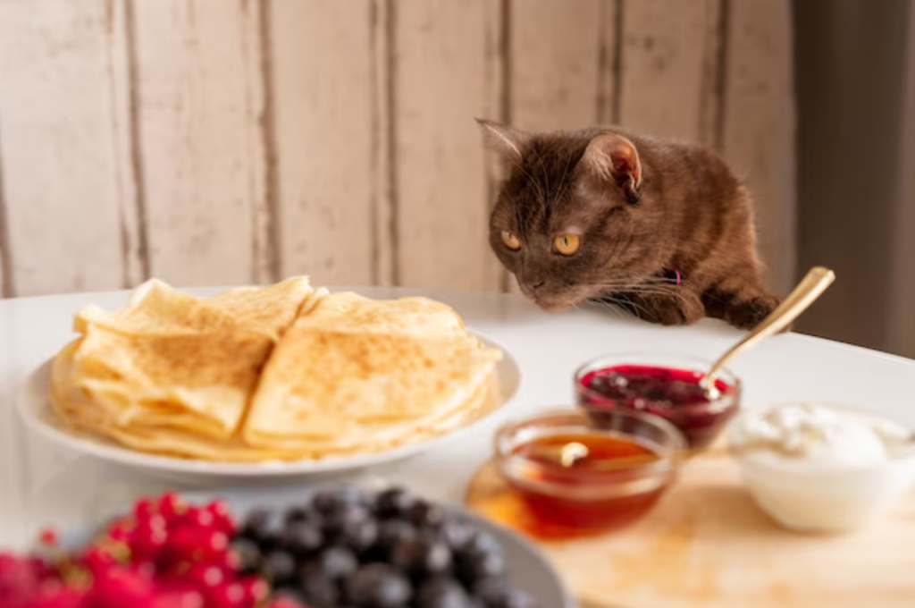 Is honey safe for cats to eat?
