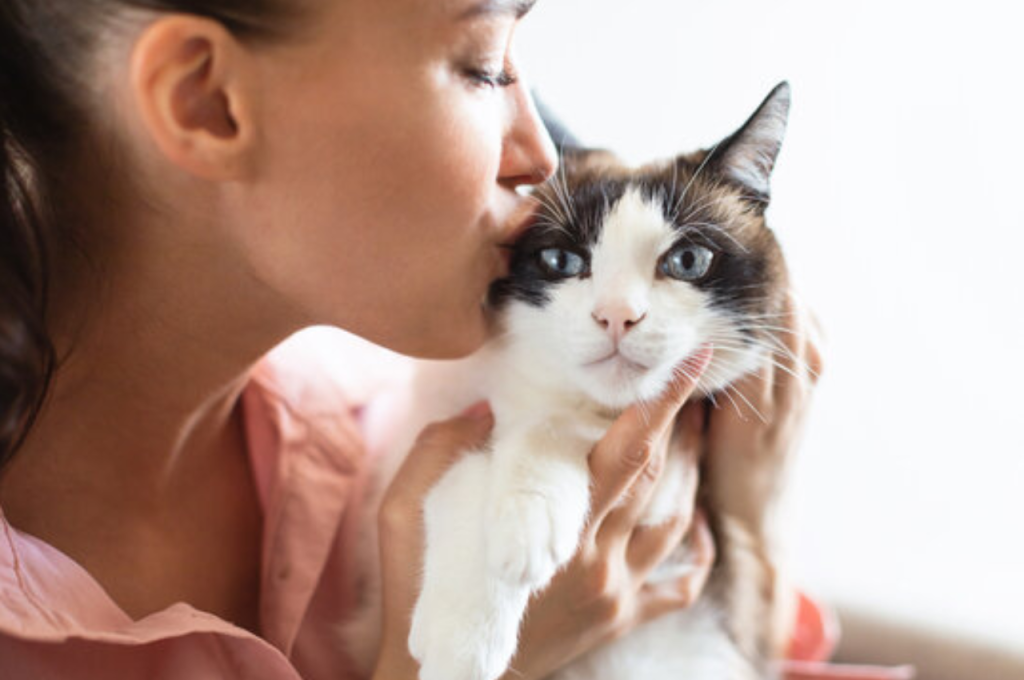 Affectionate behavior in cats