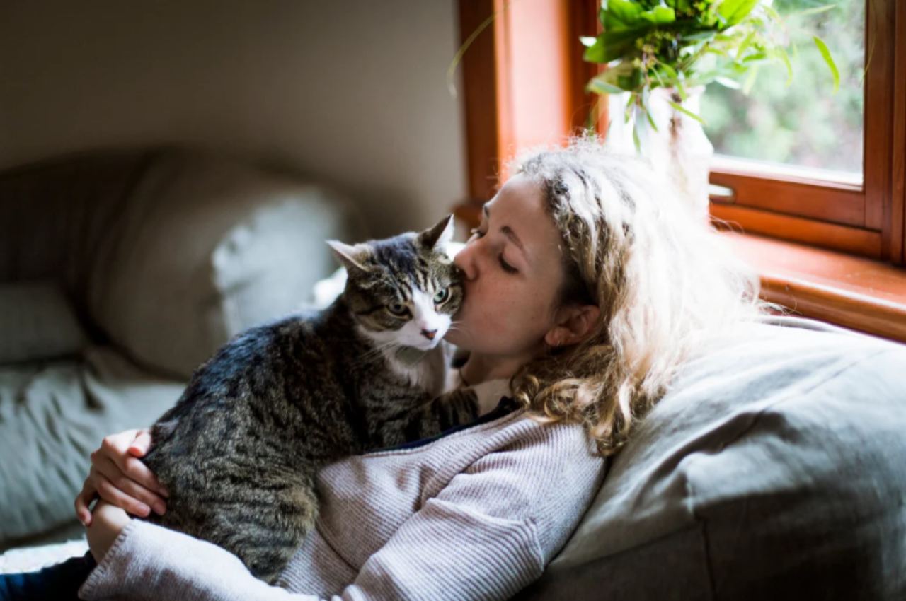 Do cats know when you are sad?