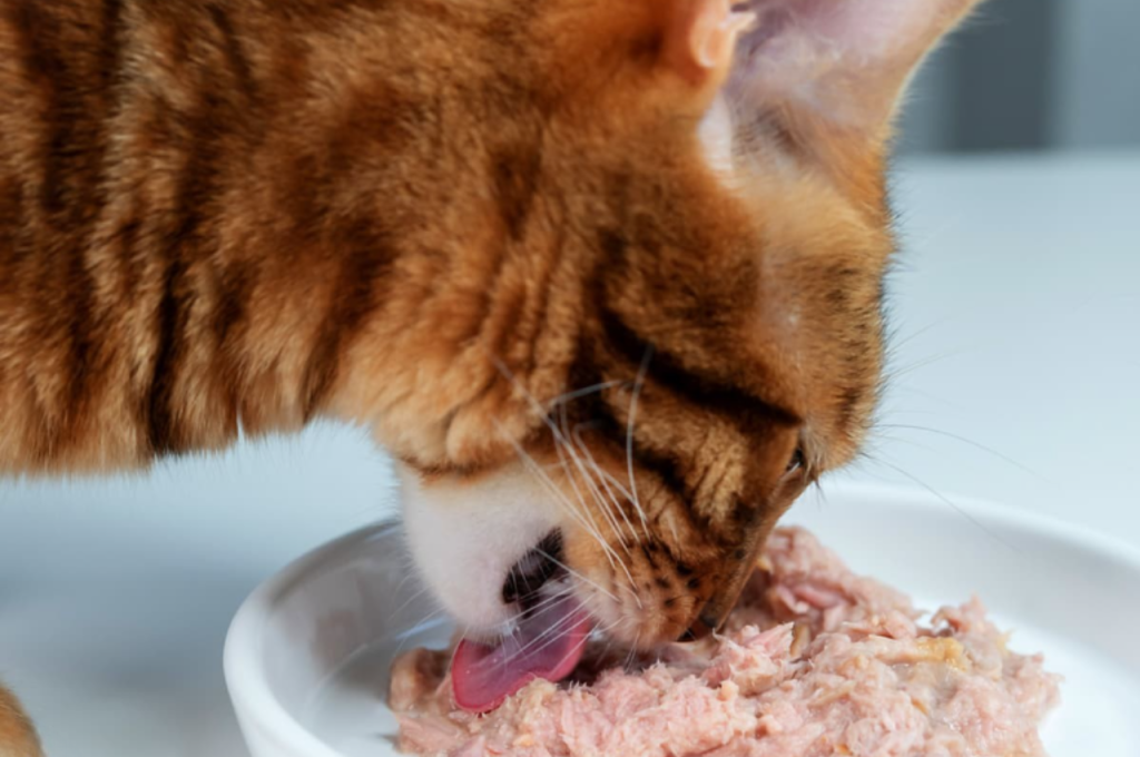 Tuna and cat nutrition