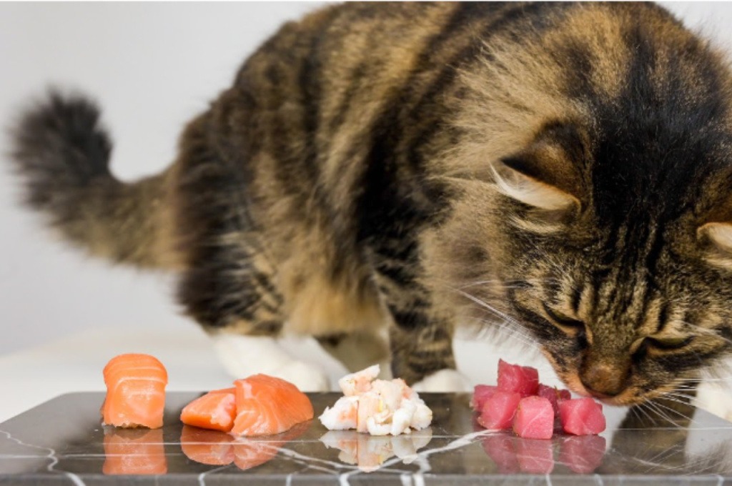 Salmon skin in cat nutrition
