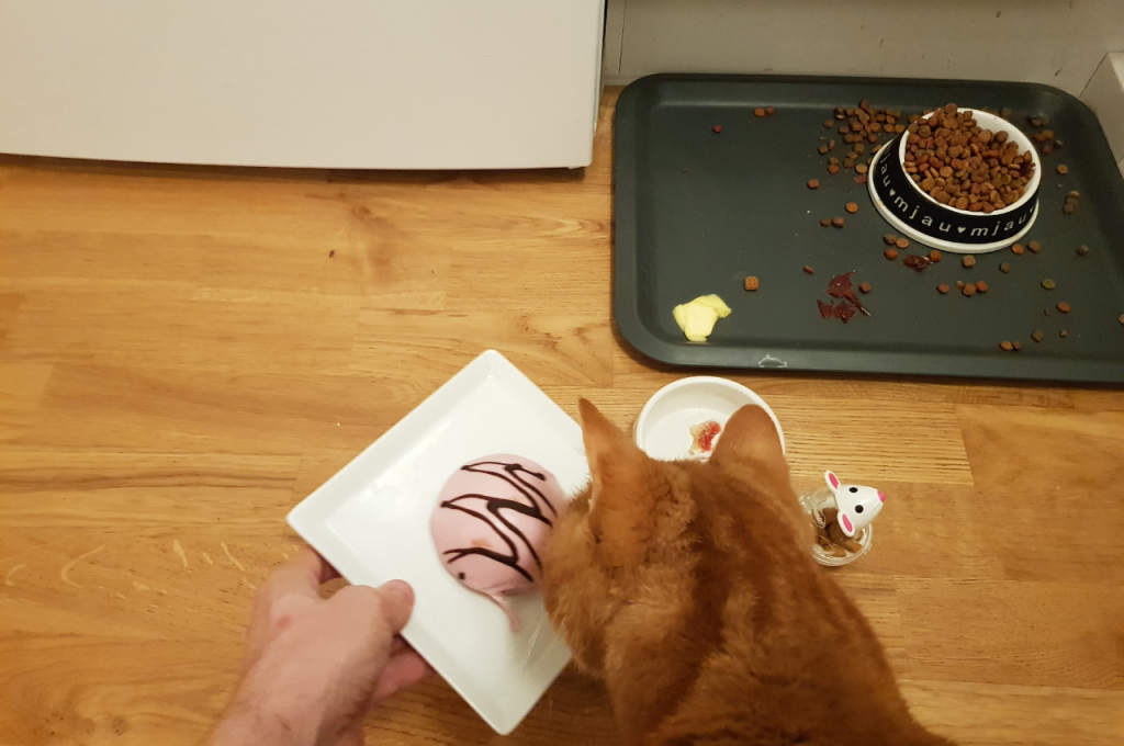 Healthy snacks for cats
