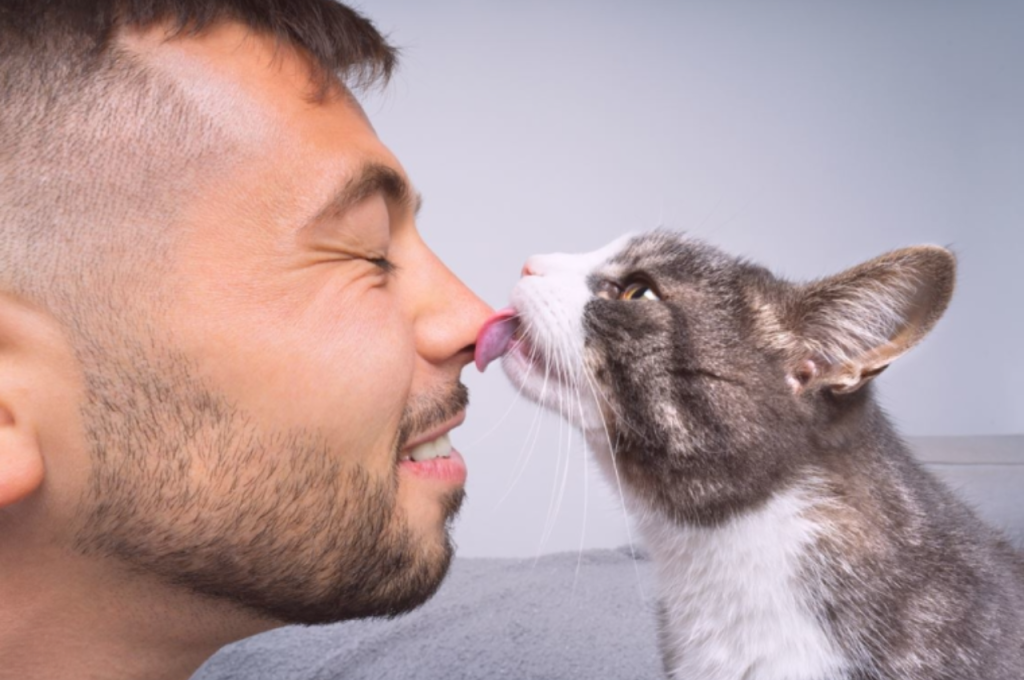 Do cats react to human tears?