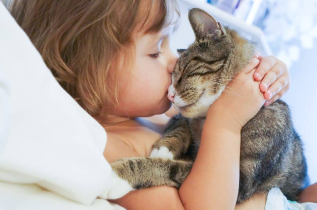 Feline affection and kisses