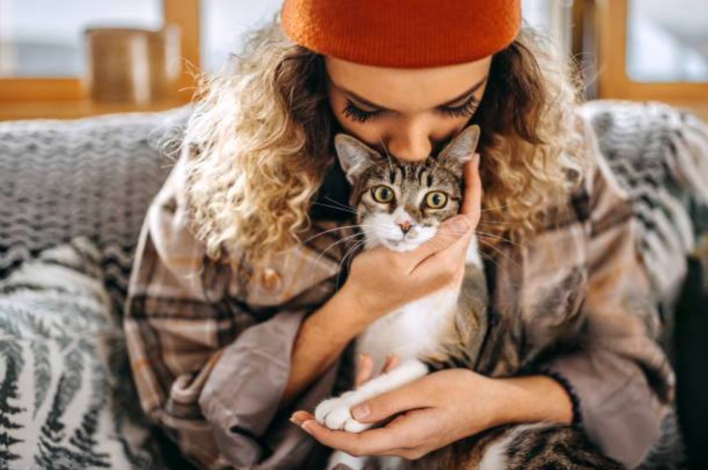 Cat health and human contact