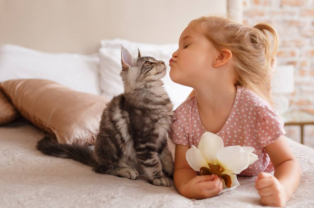 Feline perception of humans