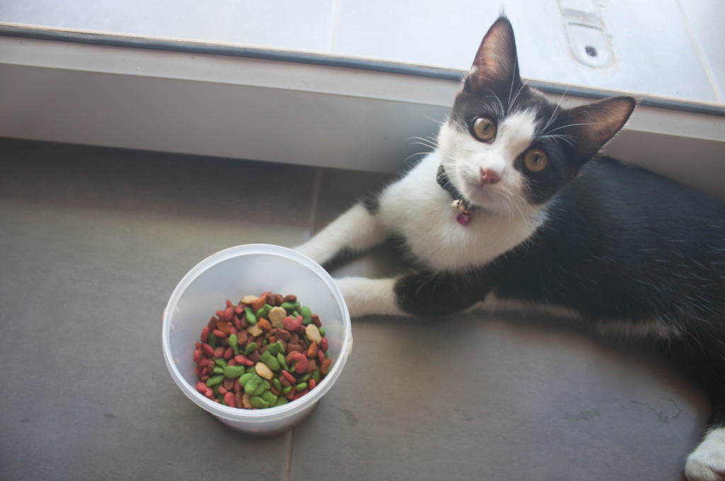 
Feline dietary preferences