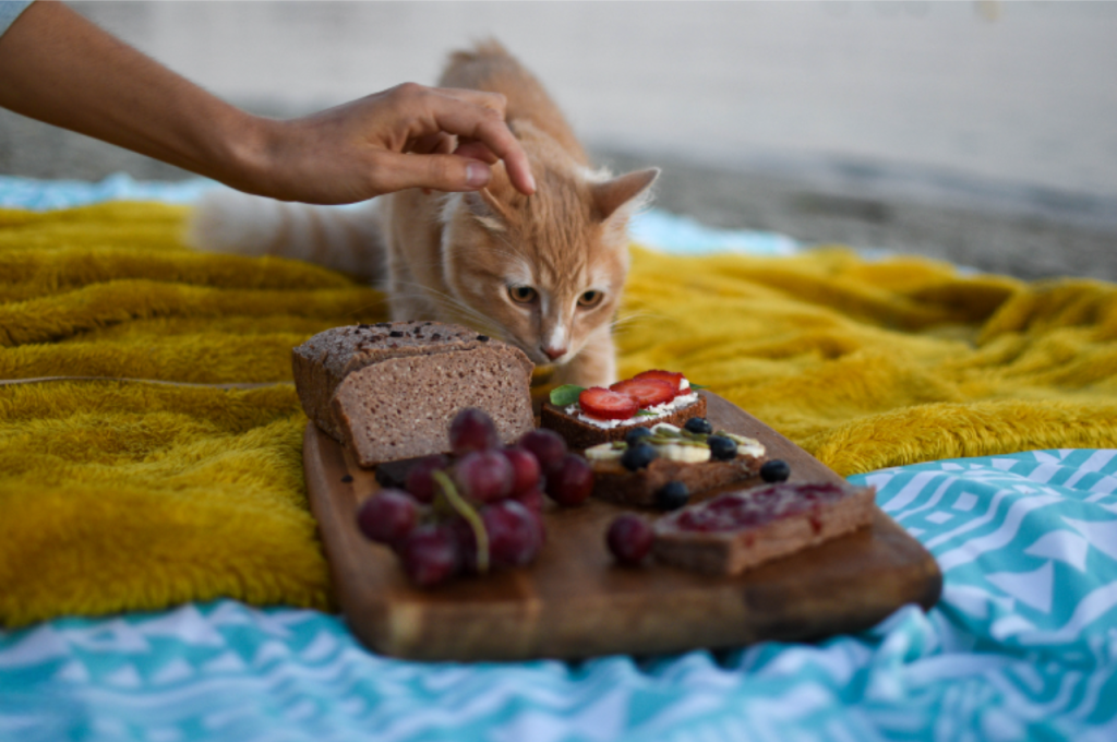 Feline sensitivity to nuts