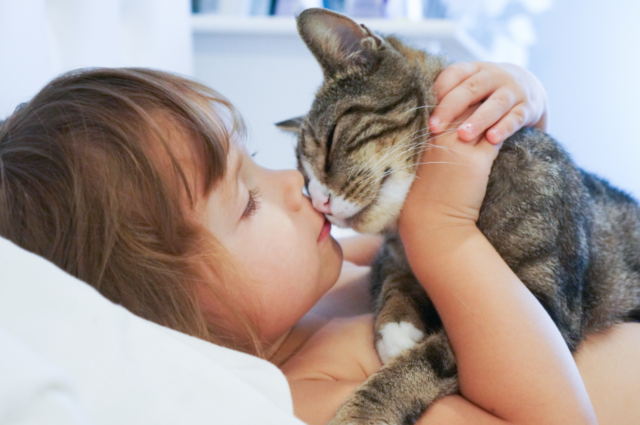 Do cats understand kisses?