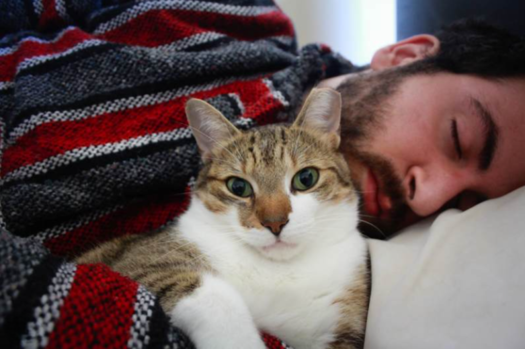 Cat sensitivity to human feelings
