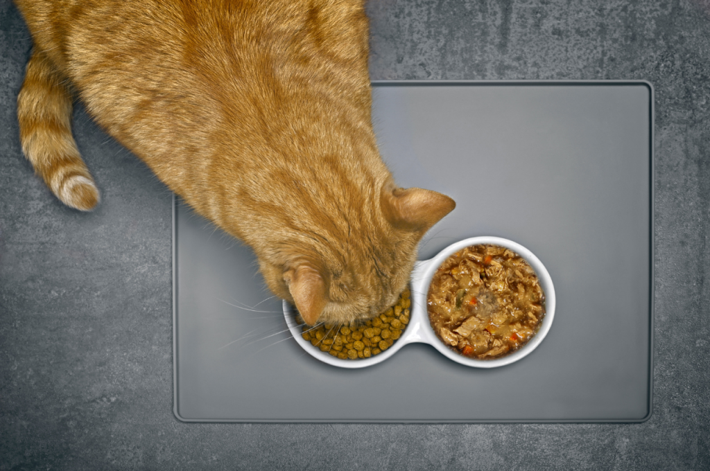 Best-selling wet cat food