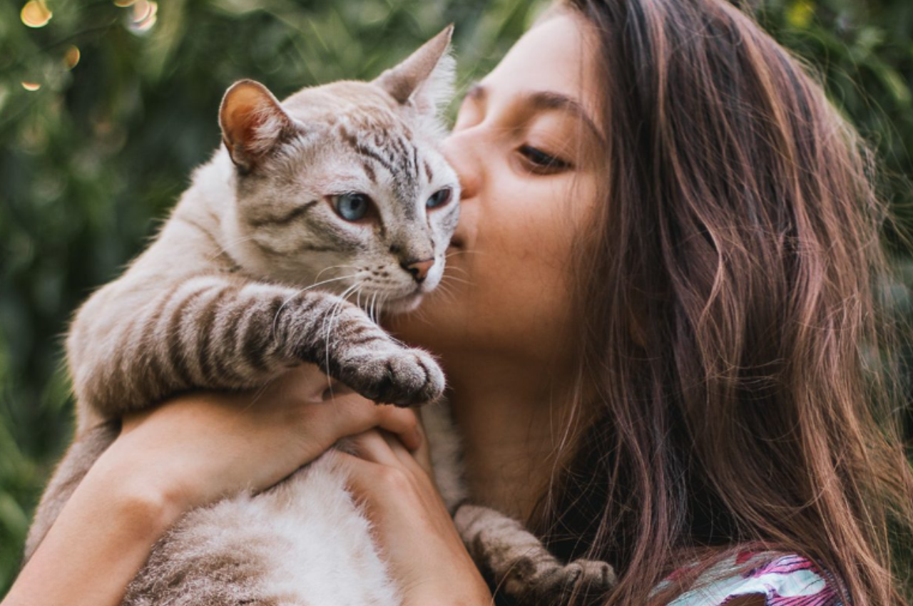 Do cats still love their owners?