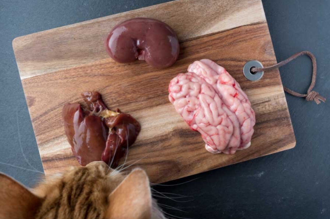 What kind of liver is best for cats?