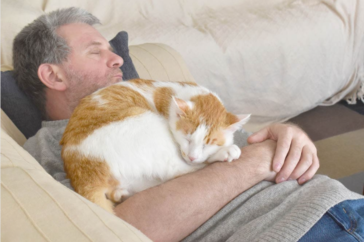 why does my cat sleep on me