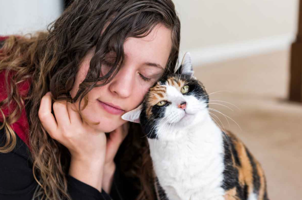 Cat-human relationships