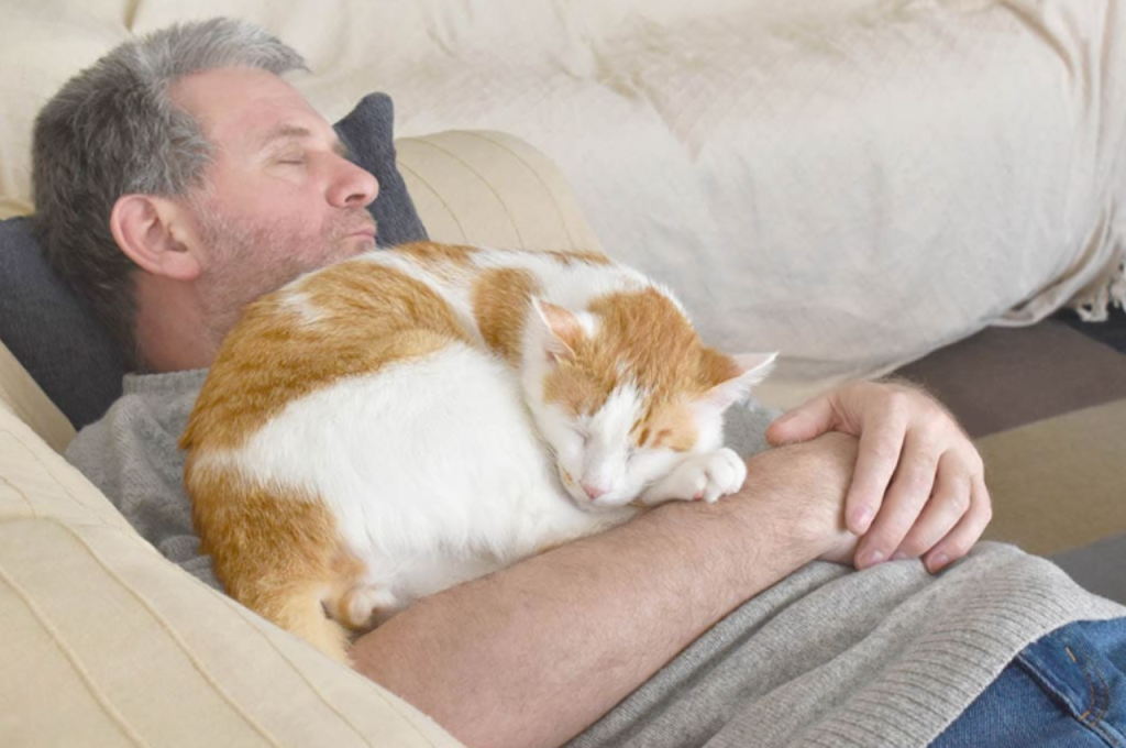 Long-term cat-human relationships