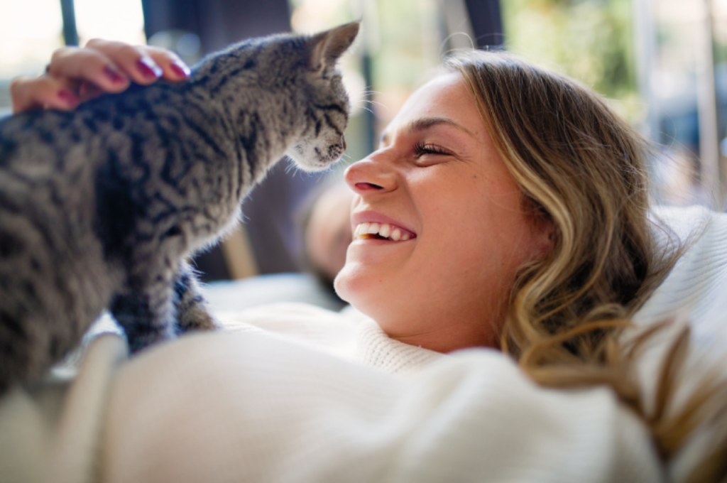 Cat laughter triggers