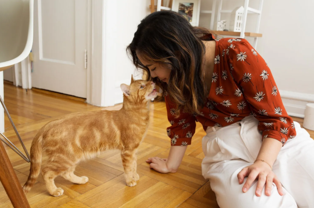 Signs of love from cats