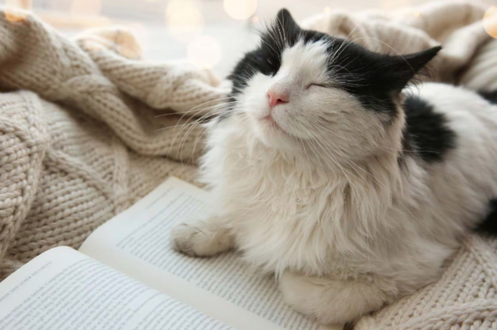Do cats cry happy tears?