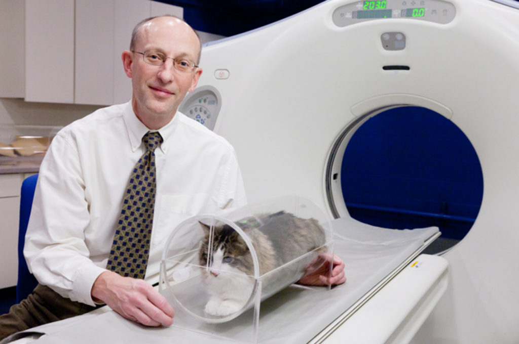 Benefits of a CAT scan