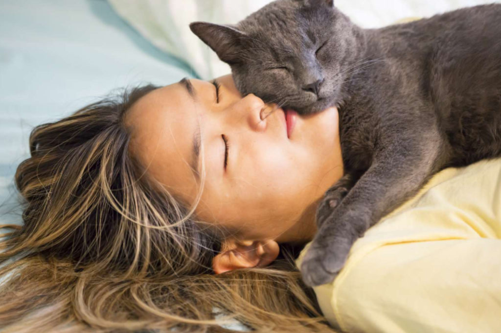 Cat attachment to owners