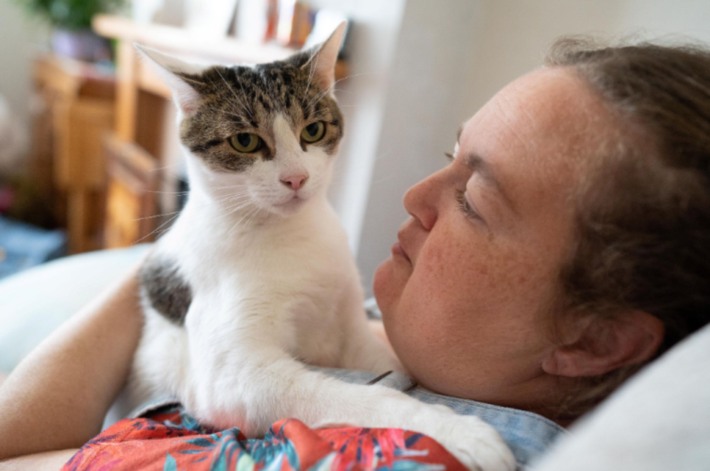 Human-animal bond in cats