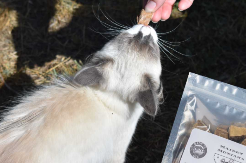 Beef liver as a dietary option for cats