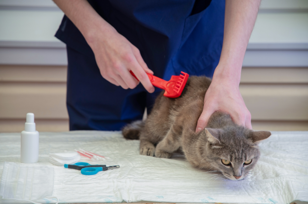 How a CAT scan works
