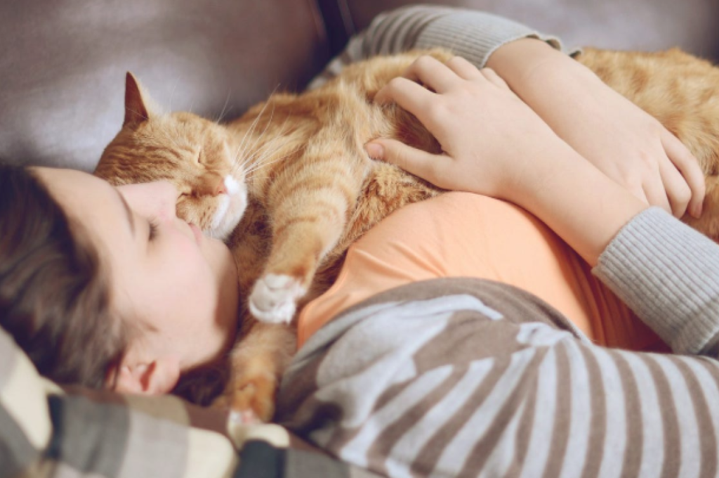 Understanding cat affection through sleeping