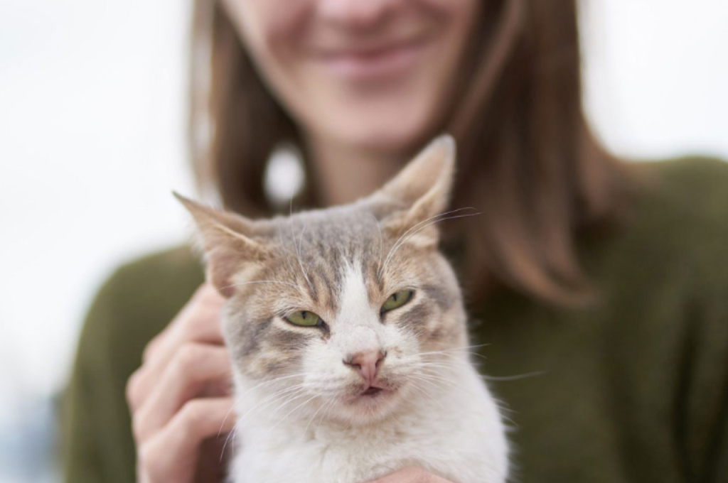 Cat-human bond strength