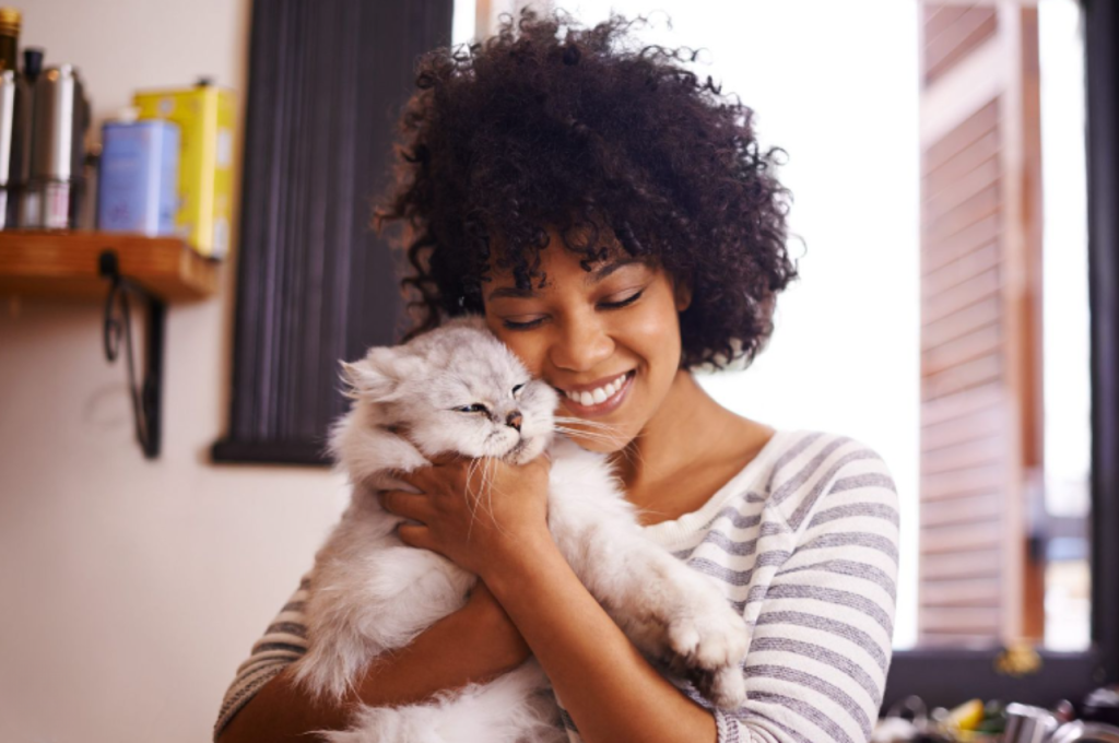 Cat-human bond