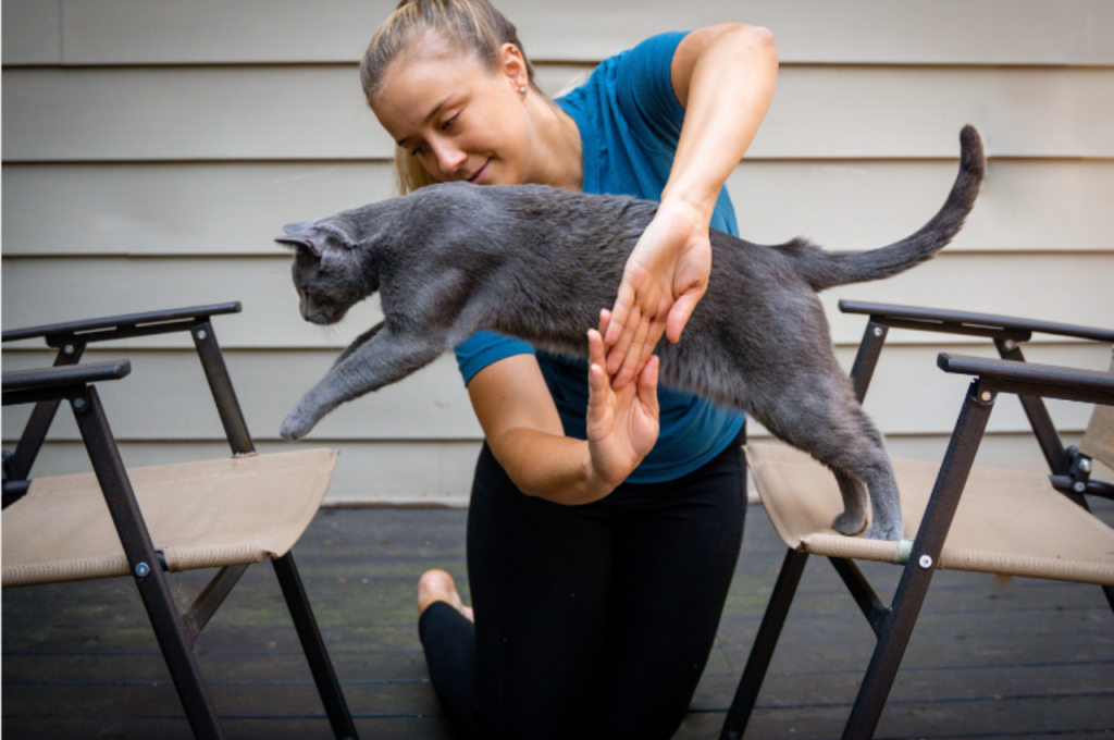 cat training tricks