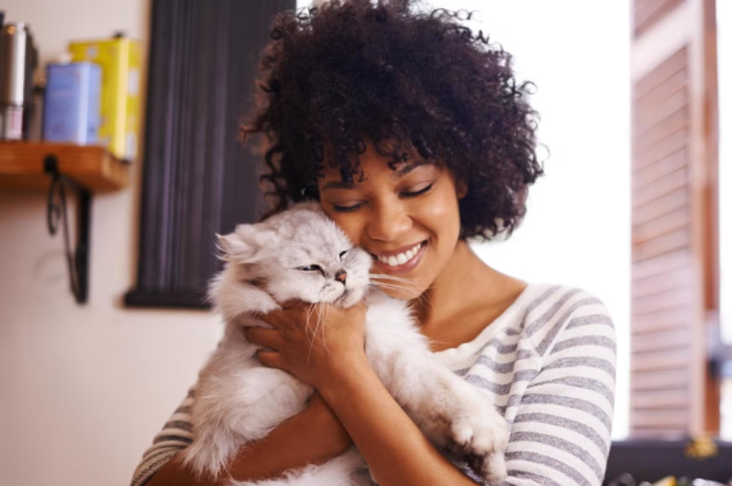Feline attachment patterns