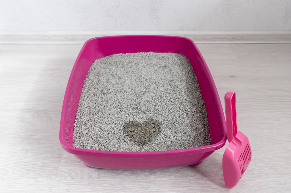 what is the best cat litter