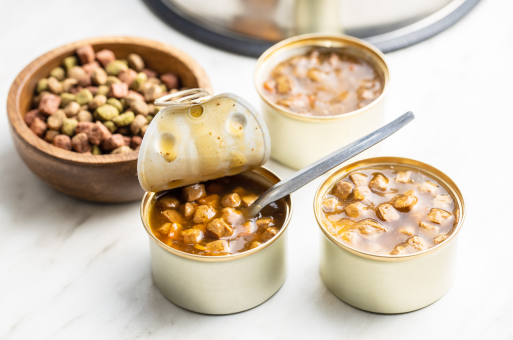 what are the top 5 healthiest cat foods?